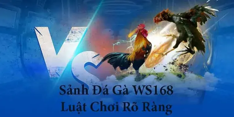 Bật Mí Cách Chơi Đá Gà WS168 Tại E2BET Bách Chiến Bách Thắng 2 Bật Mí Cách Chơi Đá Gà WS168 Tại E2BET Bách Chiến Bách Thắng