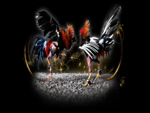 Hướng Dẫn Cách Chơi Đá Gà Sabong Tại E2BET Từ A Đến Z Cho Kê Thủ