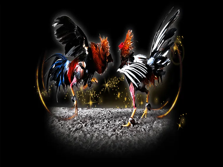 Hướng Dẫn Cách Chơi Đá Gà Sabong Tại E2BET Từ A Đến Z Cho Kê Thủ 1 Hướng Dẫn Cách Chơi Đá Gà Sabong Tại E2BET Từ A Đến Z Cho Kê Thủ