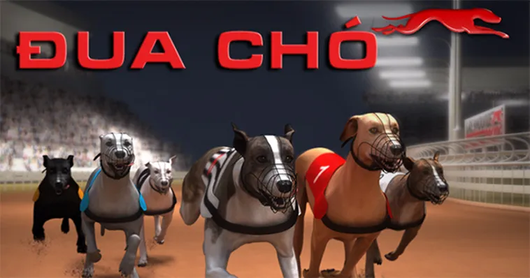 Mẹo Chơi Game Nhanh Đua Chó Tại E2BET Chắc Thắng Trong Tay Bạn 1 Mẹo Chơi Game Nhanh Đua Chó Tại E2BET Chắc Thắng Trong Tay Bạn
